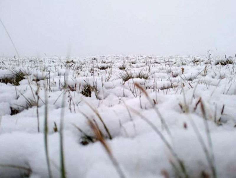 Хангайн уулархаг нутгаар бороо, нойтон цас орж, ихэнх нутгаар сэрүүснэ